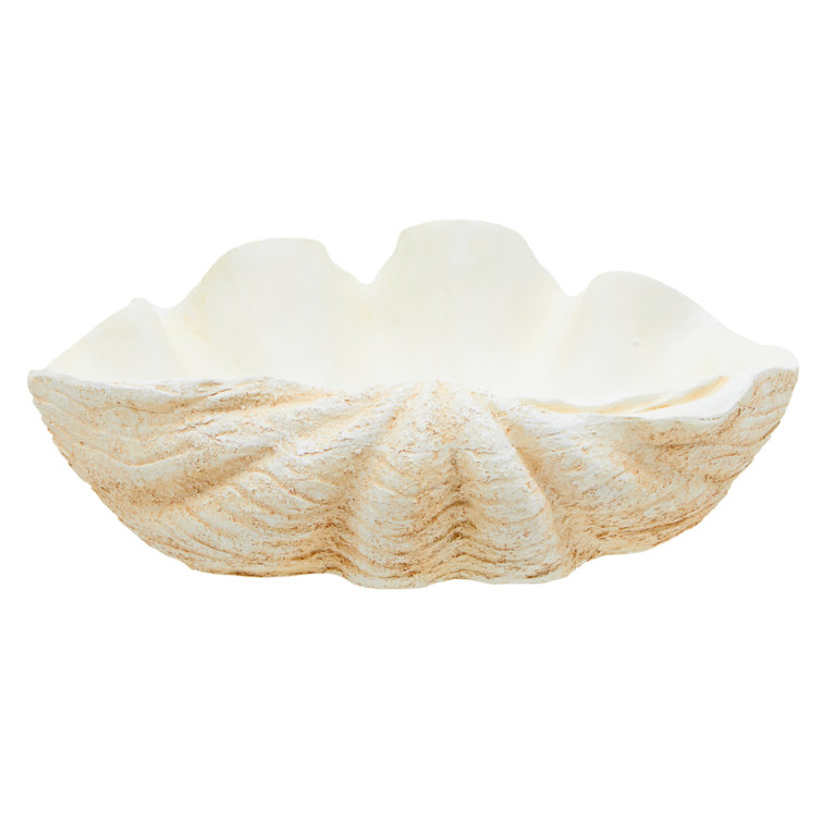 Lo Home Large Clam Shell Bowl, Beige main image 1